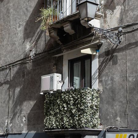 Terra Dell'Etna Apartment Катания Екстериор снимка